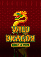 Spielen Sie die besten Amatic  Spiele bei 21bit Casino - 21Bit casino
