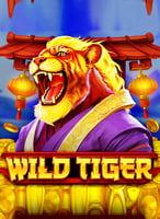Pelaa parhaita Bgmng -pelejä 21bit Casinolla - 21Bit casino