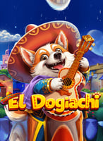 Play the Best Amusnet Games at 21bit Casino - 21Bit casino
