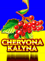 Pelaa parhaita Jackpot -pelejä 21bit Casinolla - 21Bit casino