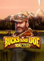 Play the Best Reelplay Games at 21bit Casino - 21Bit casino