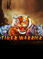 Play the Best Spadegaming Games at 21bit Casino - 21Bit casino